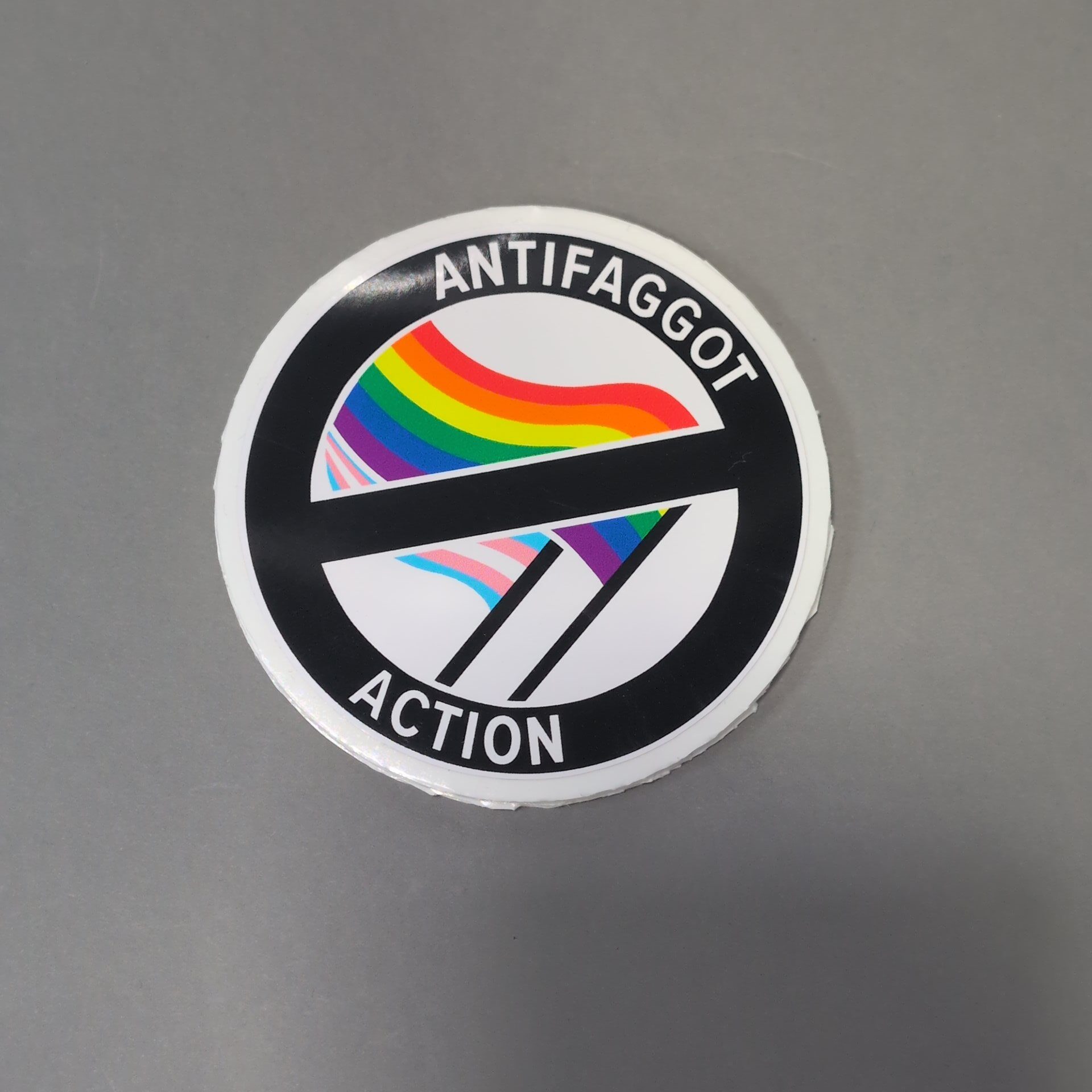 Anti Faggot Action • Sticker