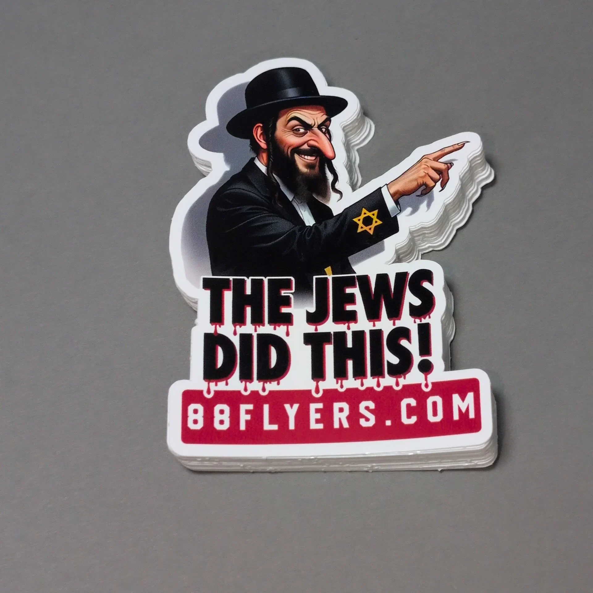 The Jews Did This! • Sticker